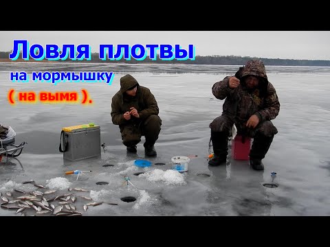 Зимняя рыбалка.Ловля плотвы на мормышку ( на вымя ). Зимняя рыбалка.Ловля плотвы на мормышку ( на вымя ).