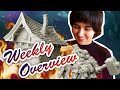 Merchant's House and Half-Giant Weekly Overview