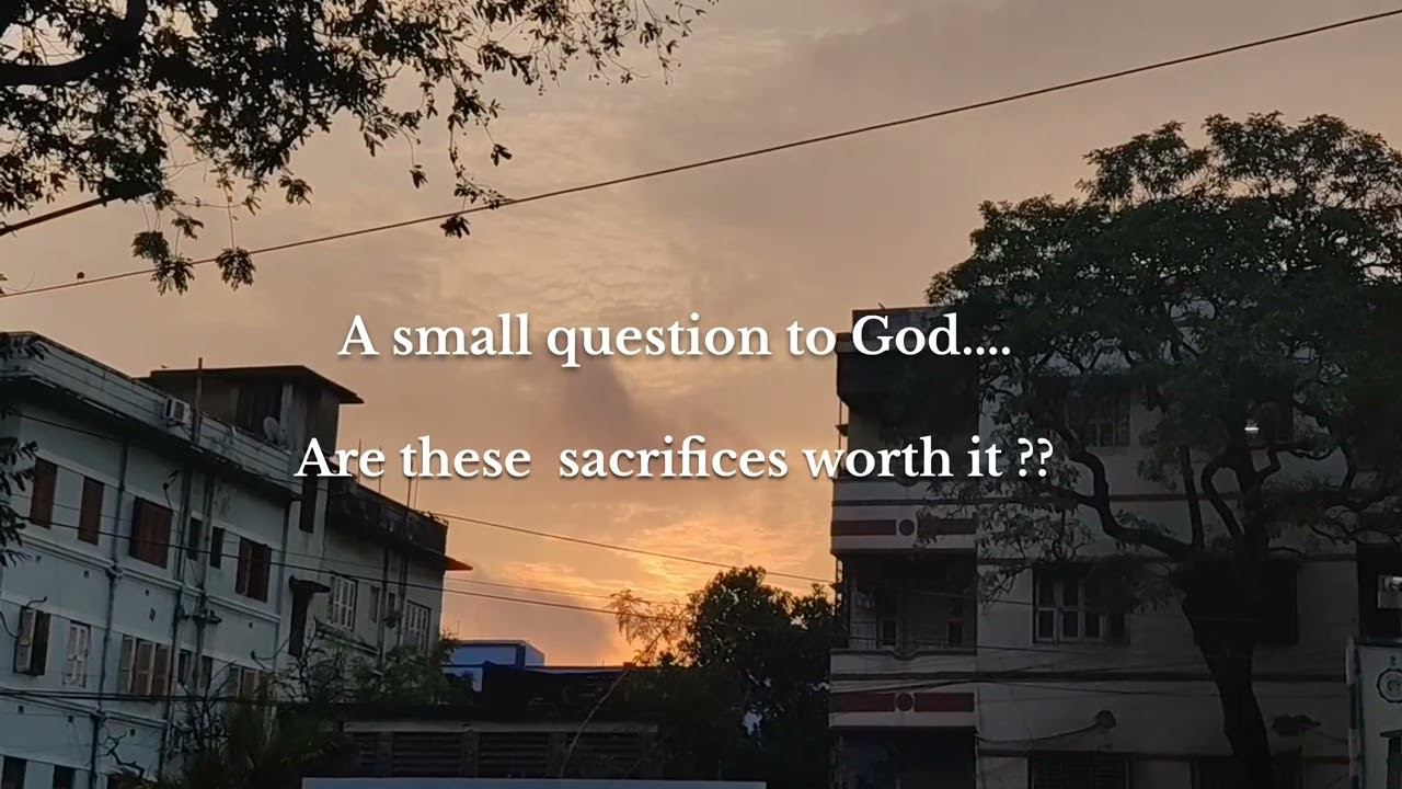 Are these worth it ??? #art #solovlog #nature #vlog #story 