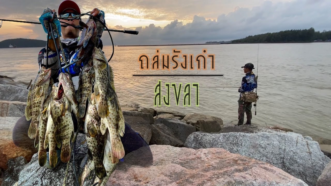 ตีเหยื่อปลอมชายฝั่ง ถล่มรังปลาเก๋าสงขลา