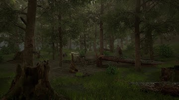 UE4 - Forest Environment Showcase