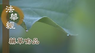 【靜思妙蓮華】法華經藥草喻品 - 日光揜蔽 地上清涼 - 20210715 第899集