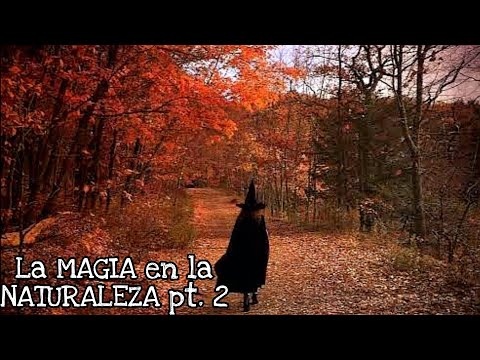 🧙🏼‍♂️🧙🏼‍♀️🍵POR QUE debes sanarte con medicina alternativa p.2🧙🏼‍♂️🧙🏼‍♀️🍵