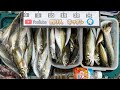 堤防で座ってアジ100匹釣ったサビキと道具がコレ🎣