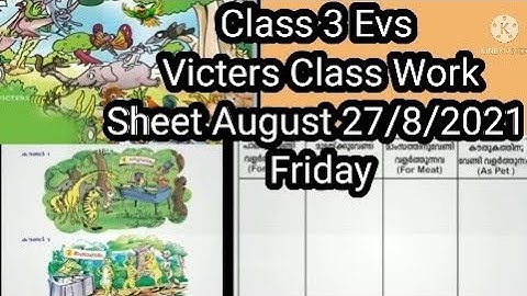 Class 3 Evs/ Victers Class Work Sheet/August 27/ 8/2021 Friday