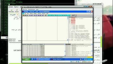 Fuzzing And Exploit Development Under The Win32 Platform