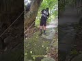 Grass Cutting | Pressure Washing 🌿 #shorts #satisfying #asmr