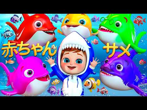 ベビーシャークとイルカさん - 童謡とキッズソング - 子供向け - バナナ手話漫画 #cocomelon #babysharksong