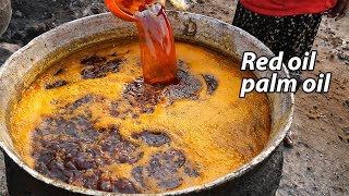 PALM OIL Most popular cooking oil in west african !! How red palm oil is prepared