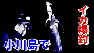 小川島で剣先イカが爆釣だぜぇ～ワイルドだろ～【釣りよか】1/2