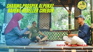 Prospek Buah Alpukat  Sharing Bareng Reseller Alpukat Dari Cirebon