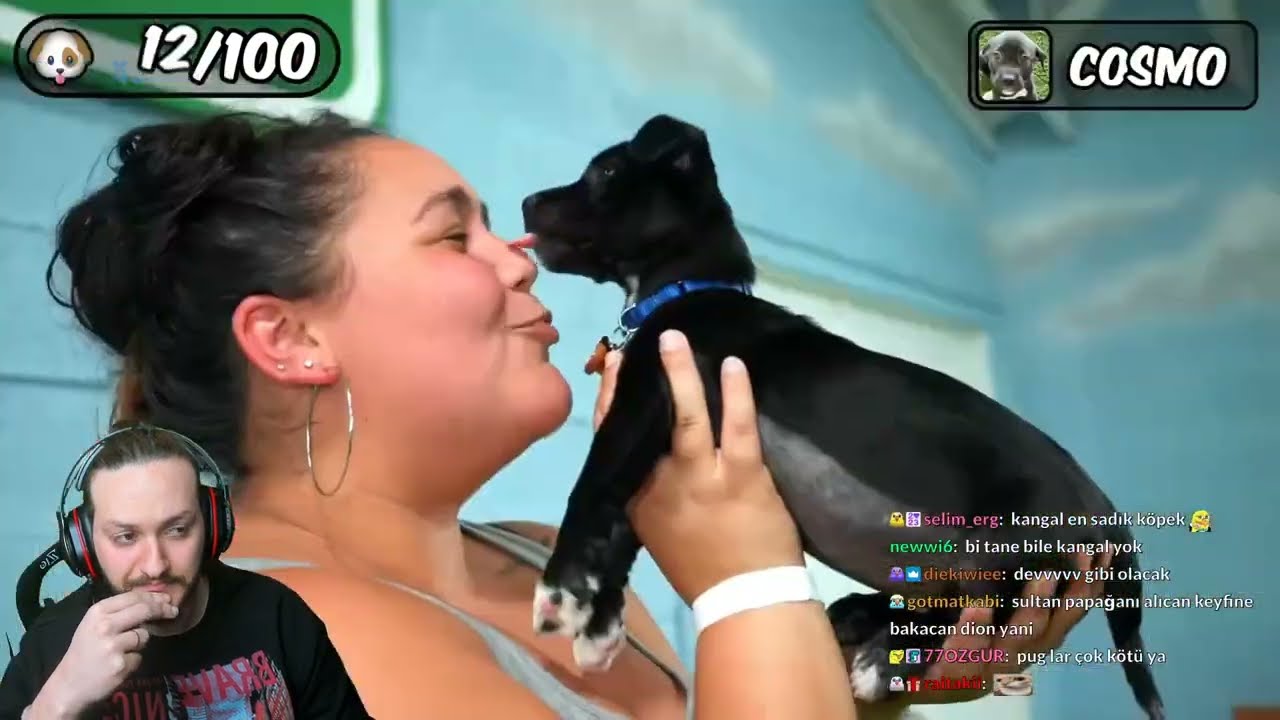 Toqtir Bay Canavar 100 köpeği kurtarma videosunu izliyor 1/2