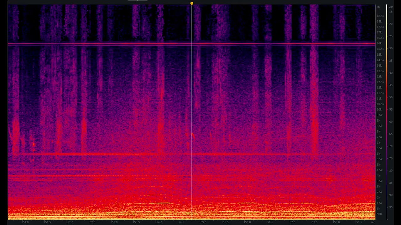 ミント赤盤 赤盤は難関アップル アイフィールファイン BEATLES / I