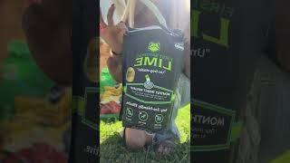 fleas spider ticks oh my! Not on my watch 🕷️ #firstsaturdaylime #insectrepellent #fleas