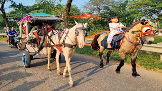 Download Lagu NAIK DELMAN ISTIMEWA | NAIK KUDA DELMAN KUDA TUNGGANG PUTIH | KUDA DELMAN LAGU ANAK POPULER MP3 Download Lagu NAIK DELMAN ISTIMEWA | NAIK KUDA DELMAN KUDA TUNGGANG PUTIH | KUDA DELMAN LAGU ANAK POPULER MP3