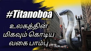 உலகத்தின் மிகவும் கொடிய வகை பாம்பு// Titanoboa World Largest Snake In World