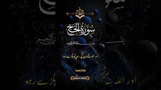 Surah Hajj incredible recitation ❤️