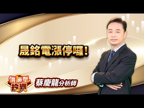 中視【價值型投資】20250219#蔡慶龍：晟銘電漲停囉！#中視 #中視新聞 #蔡慶龍 #價值型投資 #摩爾證券投顧