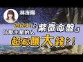 林海陽｜【重要回顧】2024年，什麼主星的人『紫微命盤』，超級賺 大 錢？！ _ 20240128