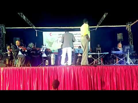 اغنية واااابو بلهجة النيمانج الفنان عابدين اما 