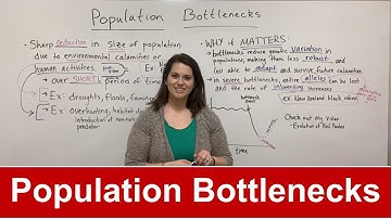 Population Bottlenecks
