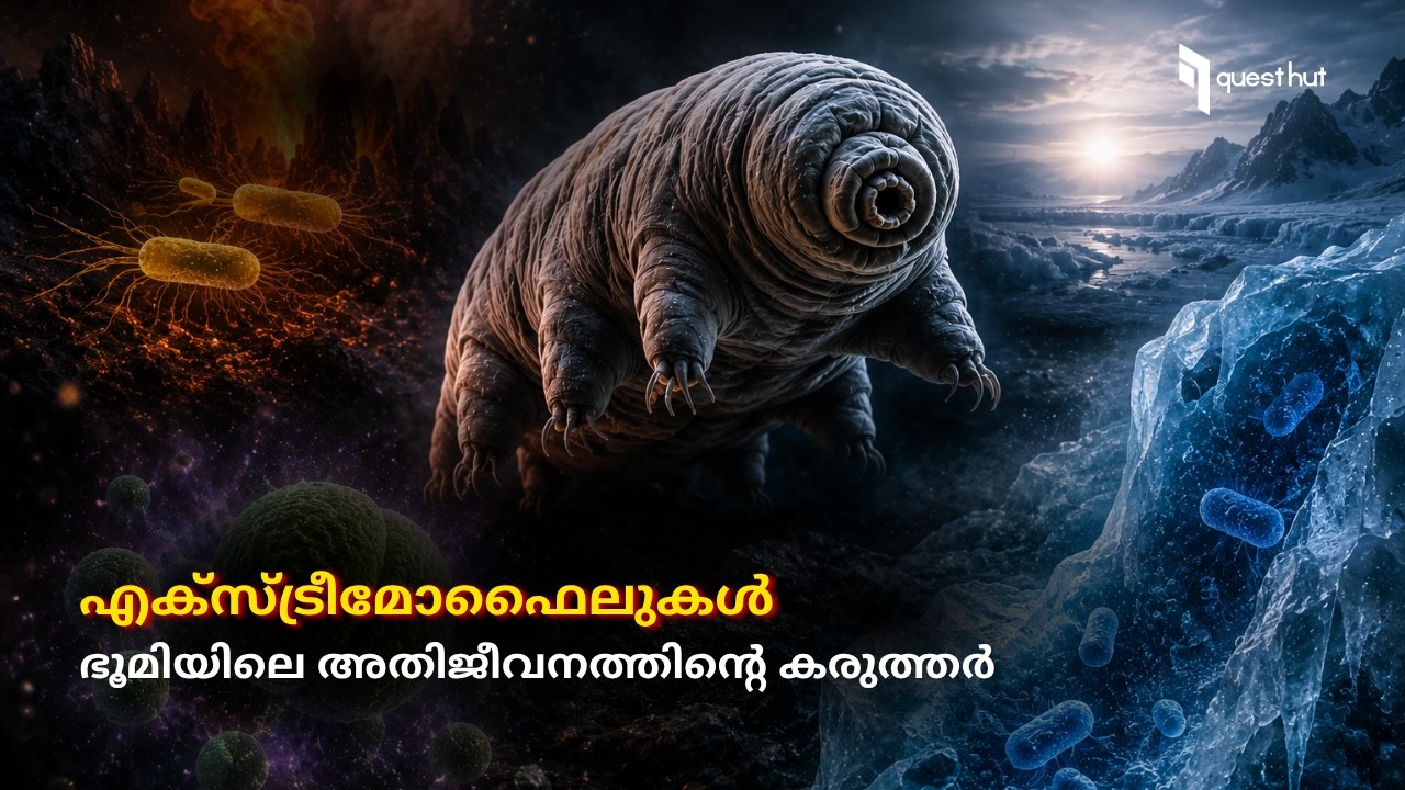 എക്സ്ട്രീമോഫൈലുകൾ: ജീവനെക്കുറിച്ചുള്ള നമ്മുടെ എല്ലാ ധാരണകളും തിരുത്തിക്കുറിച്ച ജീവികൾ.