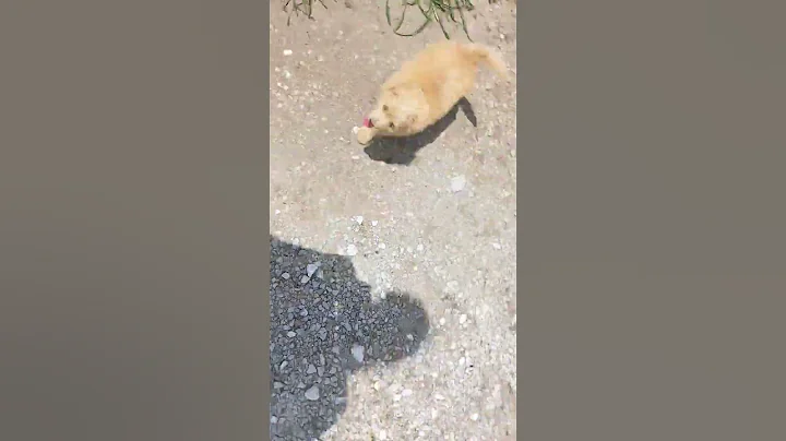 playtime  is so much fun