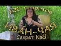 100 секретов иван-чая СЕКРЕТ 8