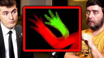How to re-grow new body parts | Michael Levin and Lex Fridman