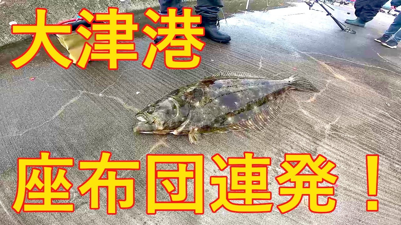 【大津港】驚愕のポテンシャル！【座布団ヒラメ】