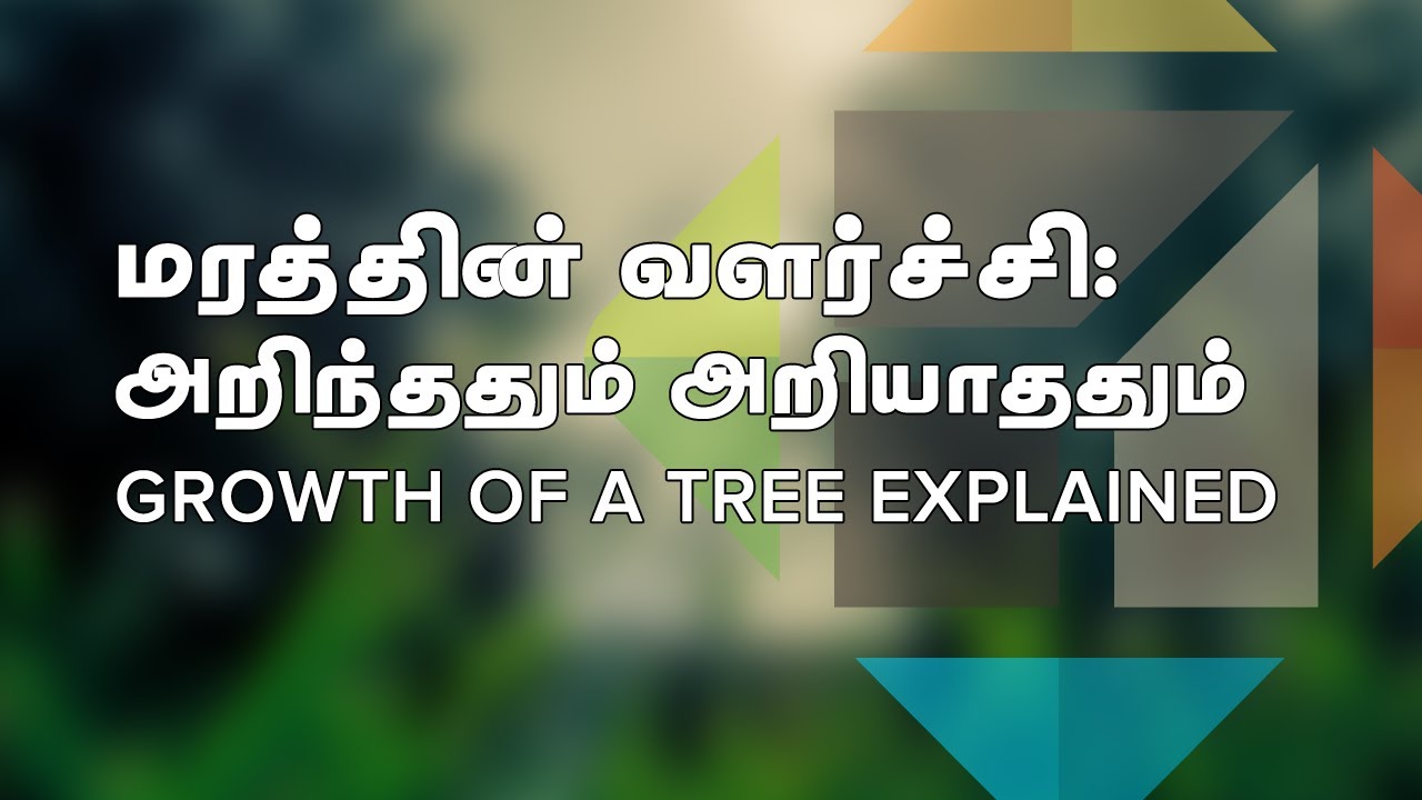 Save trees essay in tamil
