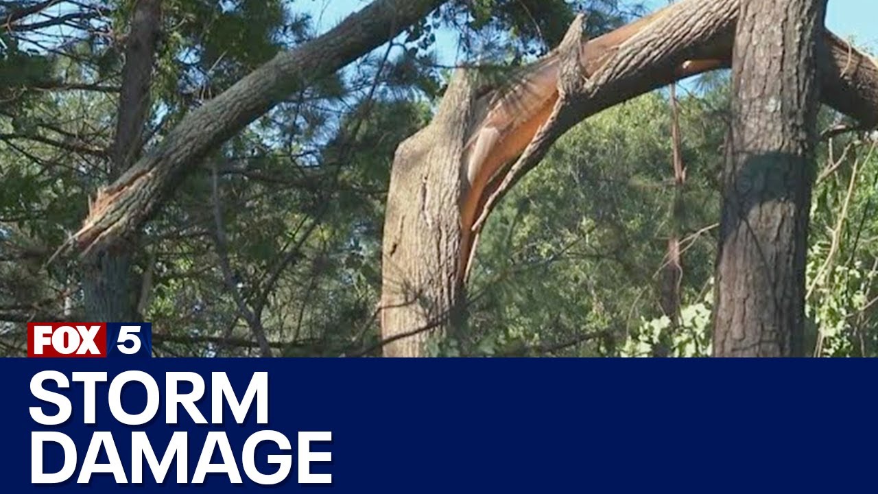Back to back storms devastate this Georgia county | FOX 5 News - YouTube