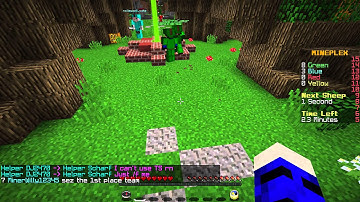 MP report 2 (Mineplex Helper)