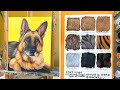 Learn Proper Technique for Painting all Different Types of Animal Fur for Beginners