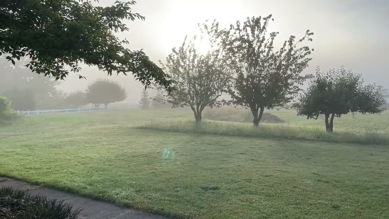 Mornings of Wet and Dry Weather Clarinet Sonata: Conner Hodson