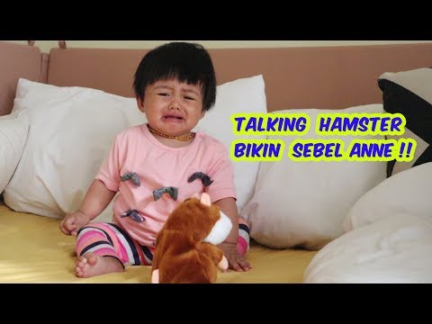 Review Boneka Hamster Peniru. 