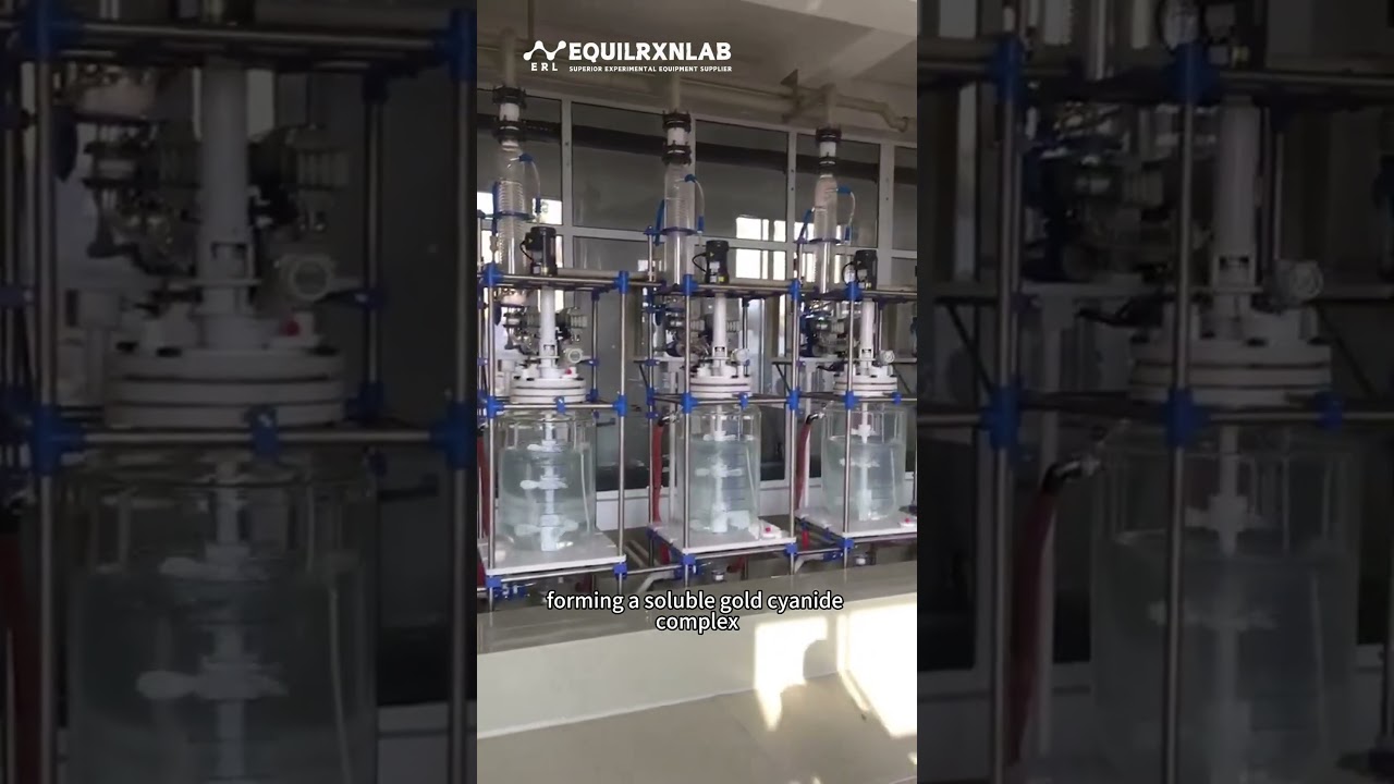 How Reactors Play a Key Role in Gold Extraction