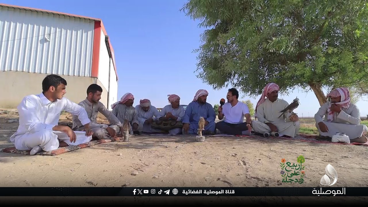 ربيع على دجلة - ناحية ربيعة غرب نينوى