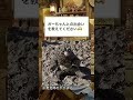 【遷移圏質問1】ががまる編 #shorts #質問コーナー #動物 #かわいい #遷移圏