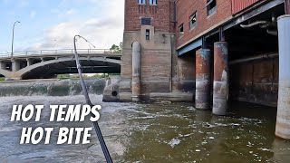 Summer Spillway Fishing Starts to Heat Up (When the Spillway Turns On - Ep 1)