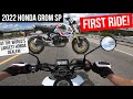 I bought a 2022 Honda Grom SP 125! ...at the World's Largest Honda Powersports Dealer!