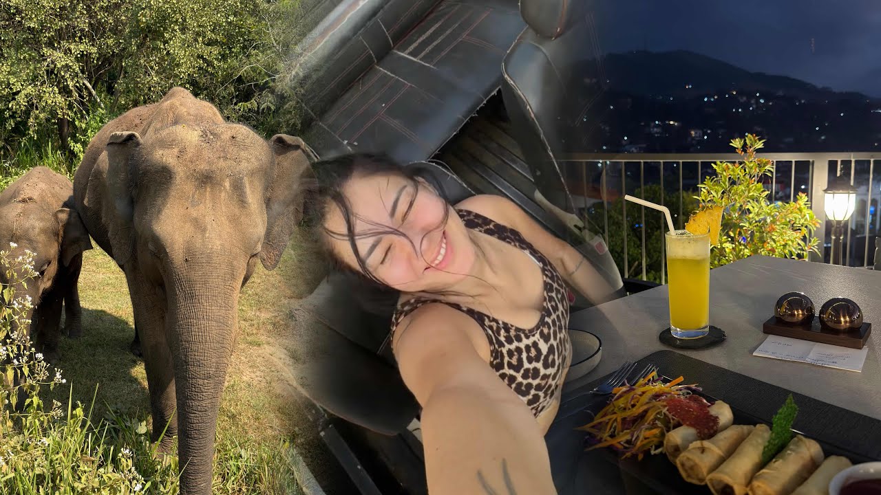 Диви слончета и още по- дива леличка | Шри Ланка Отвътре Еп.2