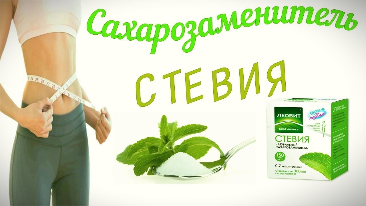 Стевия. Стевия сахарозаменитель. Стевия медовая. Стевия Крым.