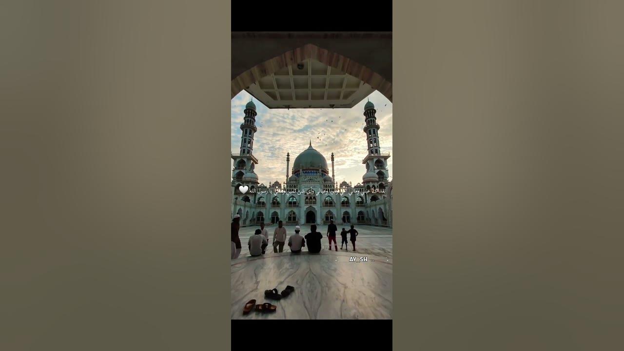 تفداك عيني ومالى 🤍🌷 #مونتاجي