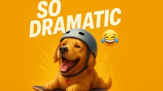Golden Retriever Overload ❤️ 10 Minutes of Pure Drama & Love
