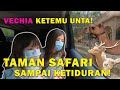 TAMAN SAFARI - SAMPAI KETIDURAN!