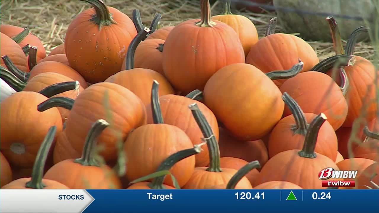 With fall just around the corner, Topeka family farm offers pumpkins
