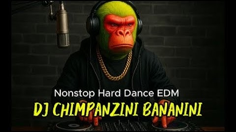 DJ BrainRot: Every Name in One Hard Dance EDM Track - DJ CHIMPANZINI BANANINI