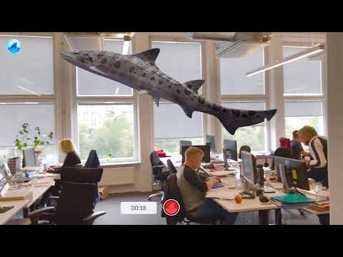 Video till Kolla in hajar i vardagsrummet med AR