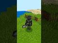 Minecraft But I Am A Wither Skeleton 😈🔥 | #minecraft